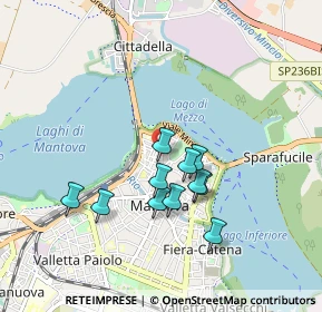 Mappa Via Dario Tassoni, 46100 Mantova MN, Italia (0.75182)