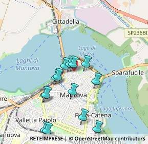 Mappa Via Dario Tassoni, 46100 Mantova MN, Italia (0.90857)
