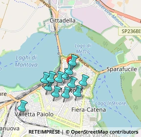 Mappa Via Dario Tassoni, 46100 Mantova MN, Italia (0.79077)