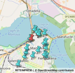 Mappa Via Dario Tassoni, 46100 Mantova MN, Italia (0.7495)