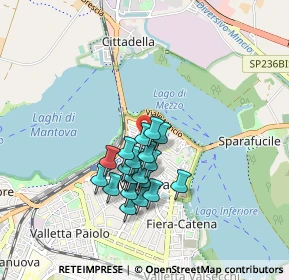 Mappa Via Dario Tassoni, 46100 Mantova MN, Italia (0.697)