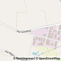 Map Caselle Torinese