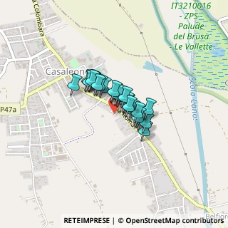 Mappa Via Roma, 37052 Casaleone VR, Italia (0.22)