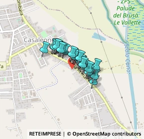 Mappa Via Roma, 37052 Casaleone VR, Italia (0.22)