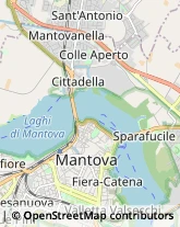 Osterie e Trattorie Mantova,46100Mantova