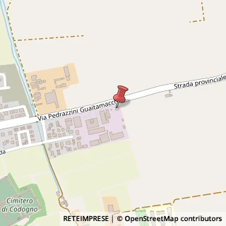 Mappa Via Pedrazzini Guaitamacchi, 60, 26845 Codogno, Lodi (Lombardia)