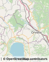 Ortofrutticoltura Castel Viscardo,05014Terni