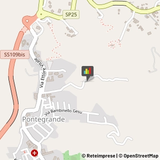 Miele Catanzaro,88100Catanzaro