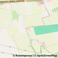 Map Bareggio