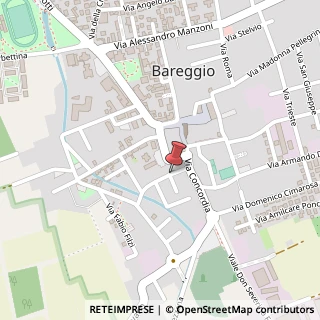 Mappa Via Cesare Battisti,  5, 30030 Bareggio, Milano (Lombardia)