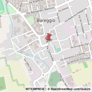 Mappa Via Concordia, 4, 20010 Bareggio, Milano (Lombardia)