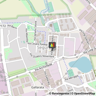 Licei - Scuole Private Settimo Milanese,20019Milano