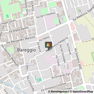 Assicurazioni Bareggio,20010Milano