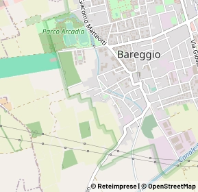 Mappa Via Don Antonio Villa, 20008 Bareggio MI, Italia (0.23846)