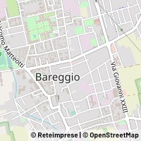 Kaart Bareggio