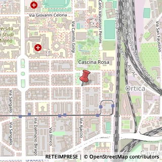 Mappa Via Enrico Caruso, 2, 20133 Milano, Milano (Lombardia)