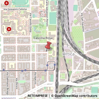 Mappa Via Enrico Caruso, 7, 20133 Milano, Milano (Lombardia)