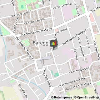 Assicurazioni Bareggio,20008Milano