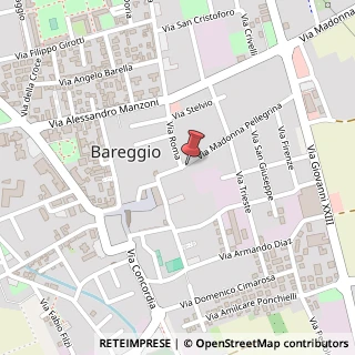 Mappa Via Madonna Pellegrina, 4, 20010 Bareggio, Milano (Lombardia)