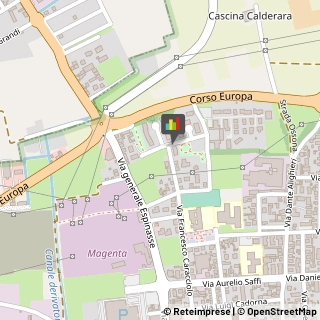 Consulenza Informatica Magenta,20013Milano