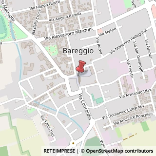 Mappa Piazza Camillo Cavour, 37, 20010 Bareggio, Milano (Lombardia)