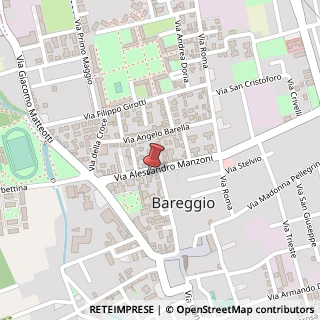 Mappa Via Alessandro Manzoni, 29, 20010 Bareggio, Milano (Lombardia)