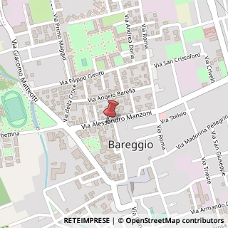 Mappa Via Manzoni, 29, 20010 Bareggio, Milano (Lombardia)