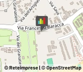 Centri per l'Impiego Cavallino-Treporti,30013Venezia
