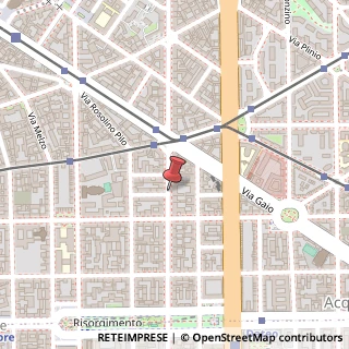 Mappa Via Ricaldone, 43, 20129 Milano, Milano (Lombardia)
