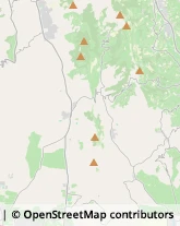 Arredamento - Vendita al Dettaglio Colognola ai Colli,37030Verona