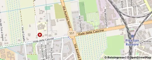 Mappa Pisa