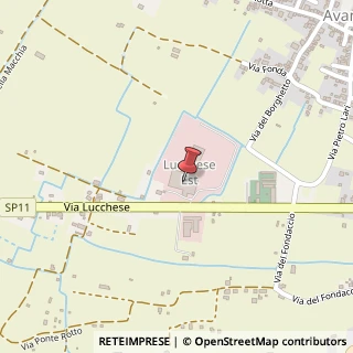 Mappa Via Lucchese, 124, 50053 Altopascio, Lucca (Toscana)