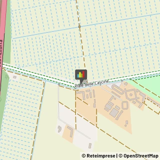 Equitazione - Impianti e Corsi Pisa,56122Pisa