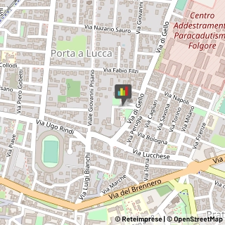 Feste - Organizzazione e Servizi,56123Pisa