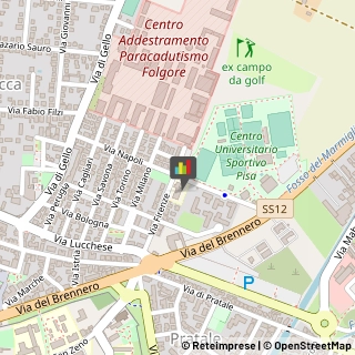 Scuole Pubbliche,56123Pisa