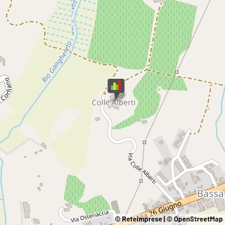 Aziende Agricole Cerreto Guidi,50050Firenze