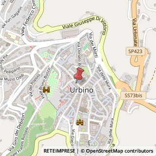 Mappa Via Raffaello, 25, 61029 Urbino, Pesaro e Urbino (Marche)
