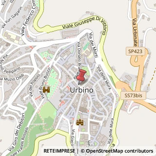Mappa Via Raffaello, 11, 61029 Urbino, Pesaro e Urbino (Marche)