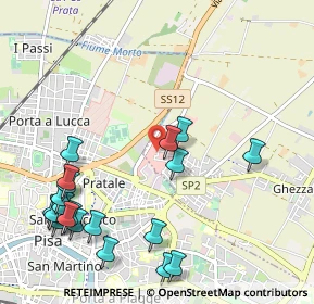 Mappa Vicino Elettroservice, 56017 San Giuliano Terme PI, Italia (1.335)