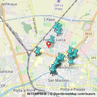 Mappa Via Ugo Rindi, 56123 Pisa PI, Italia (0.925)
