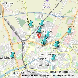 Mappa Via Ugo Rindi, 56123 Pisa PI, Italia (0.93091)