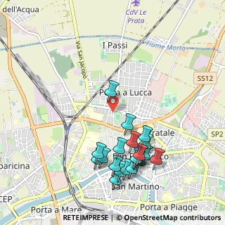 Mappa Via Ugo Rindi, 56123 Pisa PI, Italia (1.11)