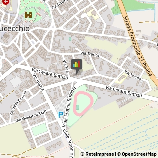Feste - Organizzazione e Servizi,50054Firenze
