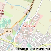 지도 Pisa