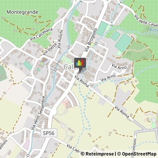 Carabinieri,56011Pisa