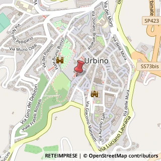 Mappa Via del Carmine, 3, 61029 Urbino, Pesaro e Urbino (Marche)