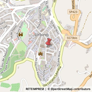 Mappa Via Puccinotti, 19, 61029 Urbino, Pesaro e Urbino (Marche)