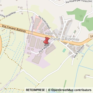 Mappa Via 8 Marzo, 10, 50050 Cerreto Guidi, Firenze (Toscana)