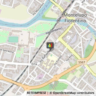 Importatori ed Esportatori Montelupo Fiorentino,50056Firenze