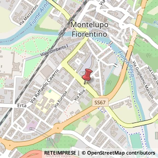 Mappa Viale Cento Fiori, 38, 50056 Montelupo Fiorentino, Firenze (Toscana)